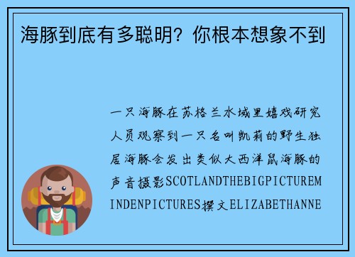 海豚到底有多聪明？你根本想象不到